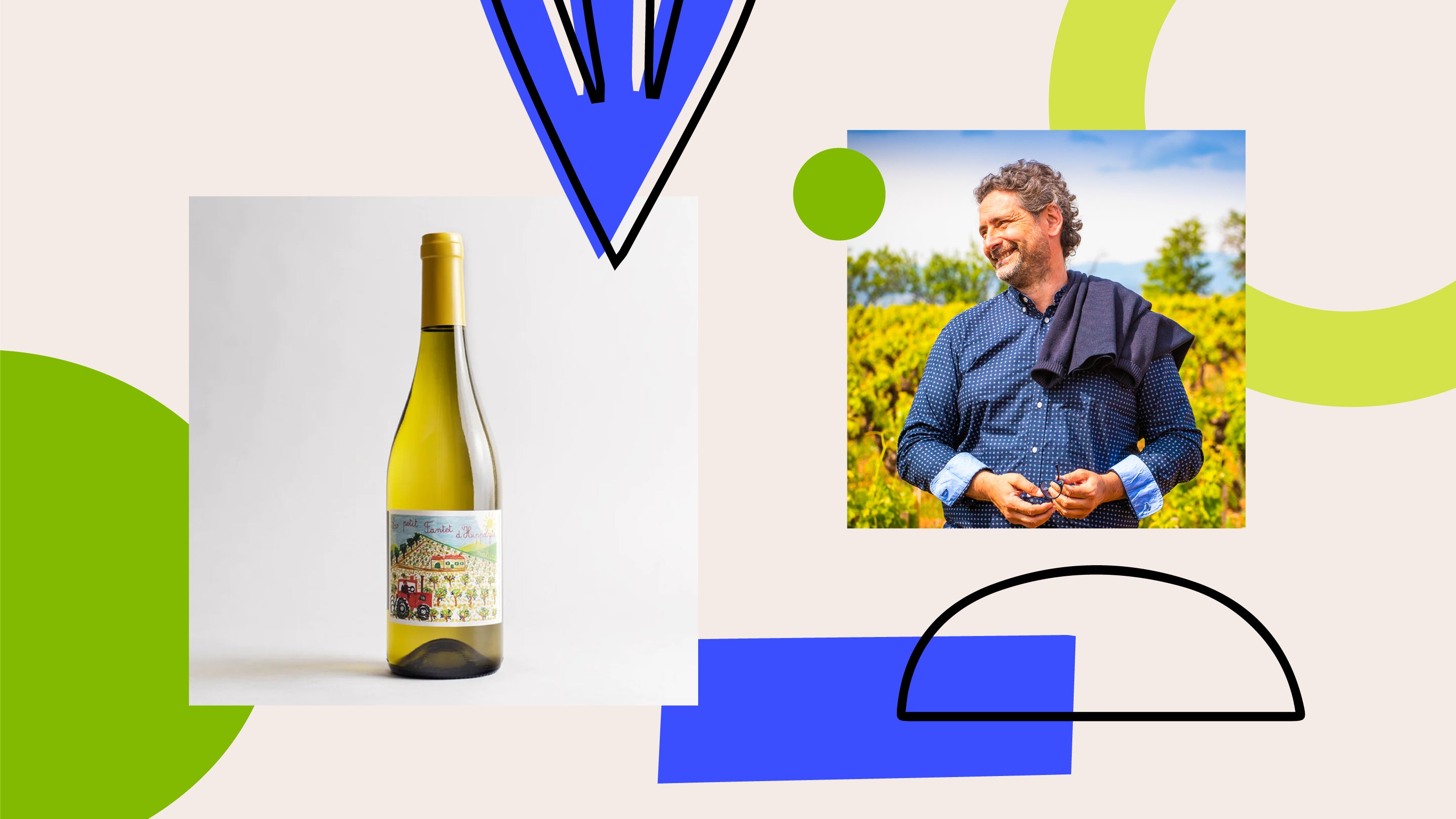 Ollieux Romanis l'Art du Vin