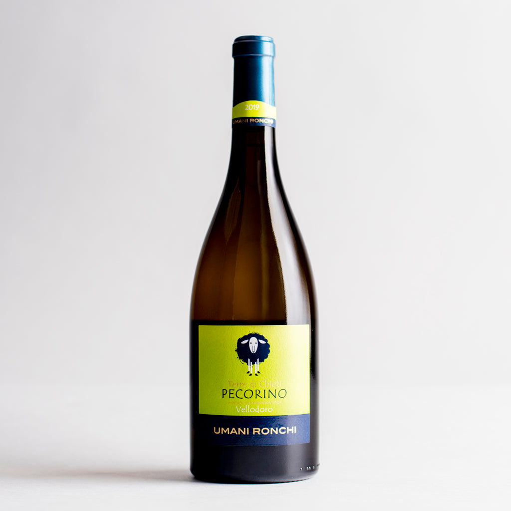 Vellodoro Pecorino, Umani Ronchi, Italy 2022 l'Art du Vin