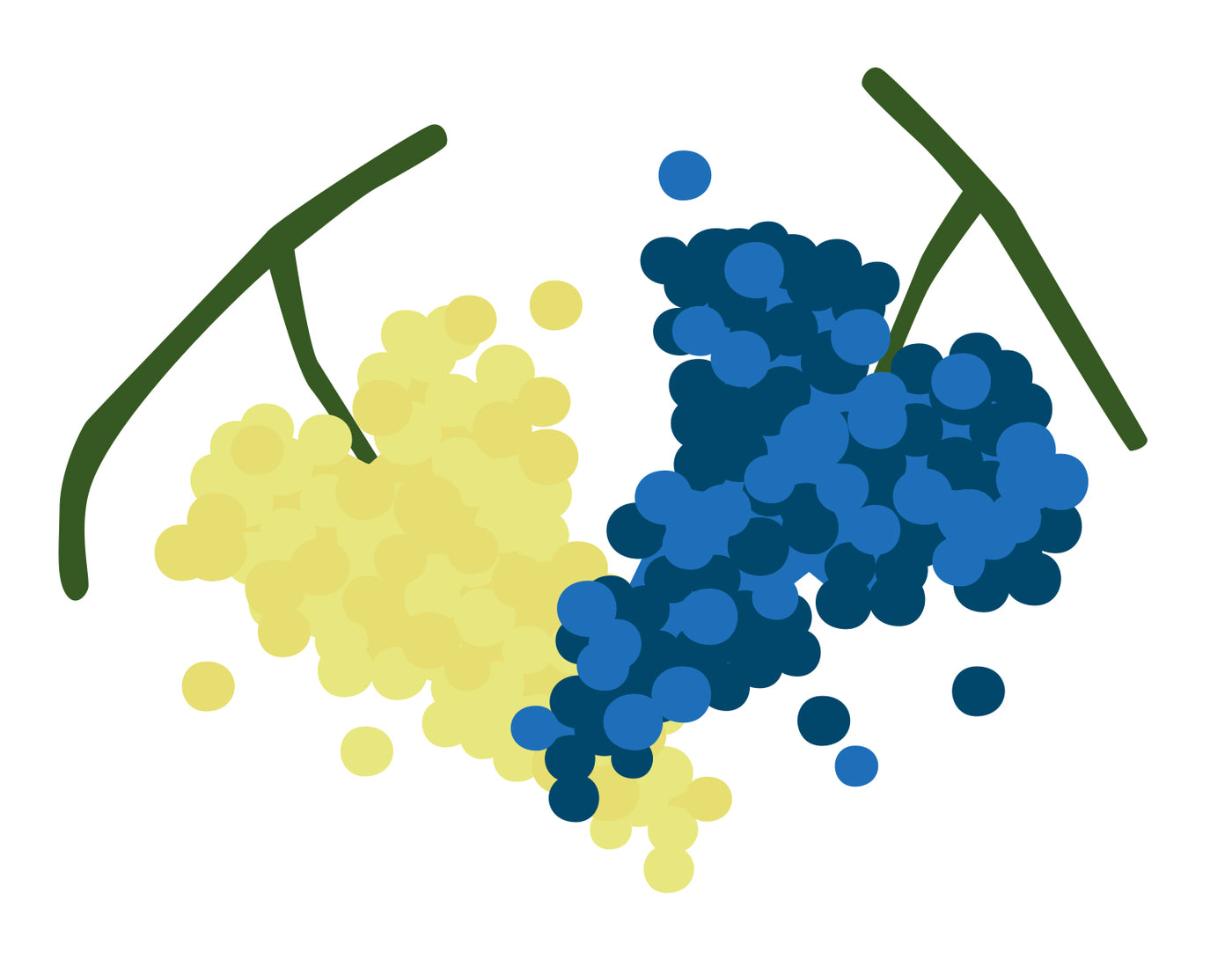 You know more grape varieties that you think you do!