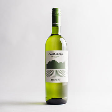 Chenin Blanc, Cannonberg, Western Cape, South Africa 2024